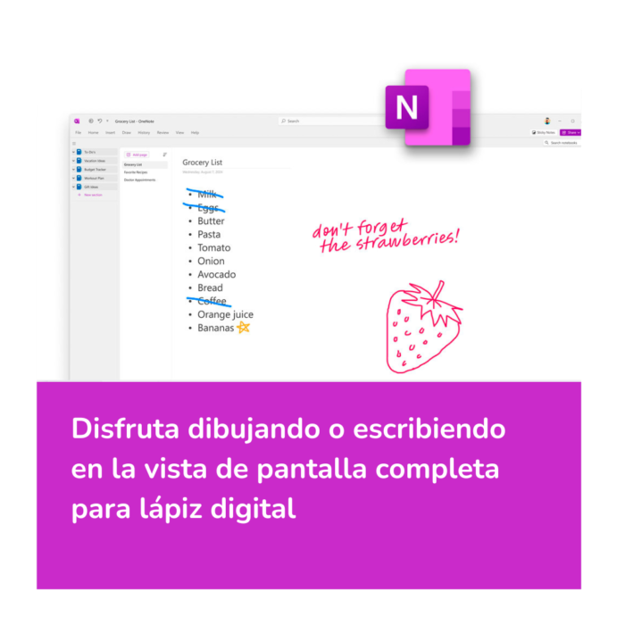 Licencia Aplicación OneNote 2024