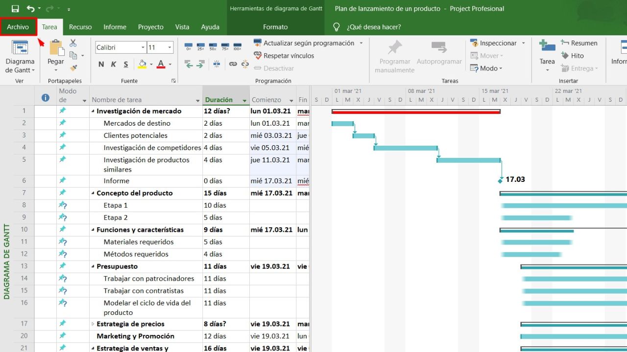 Project gestión