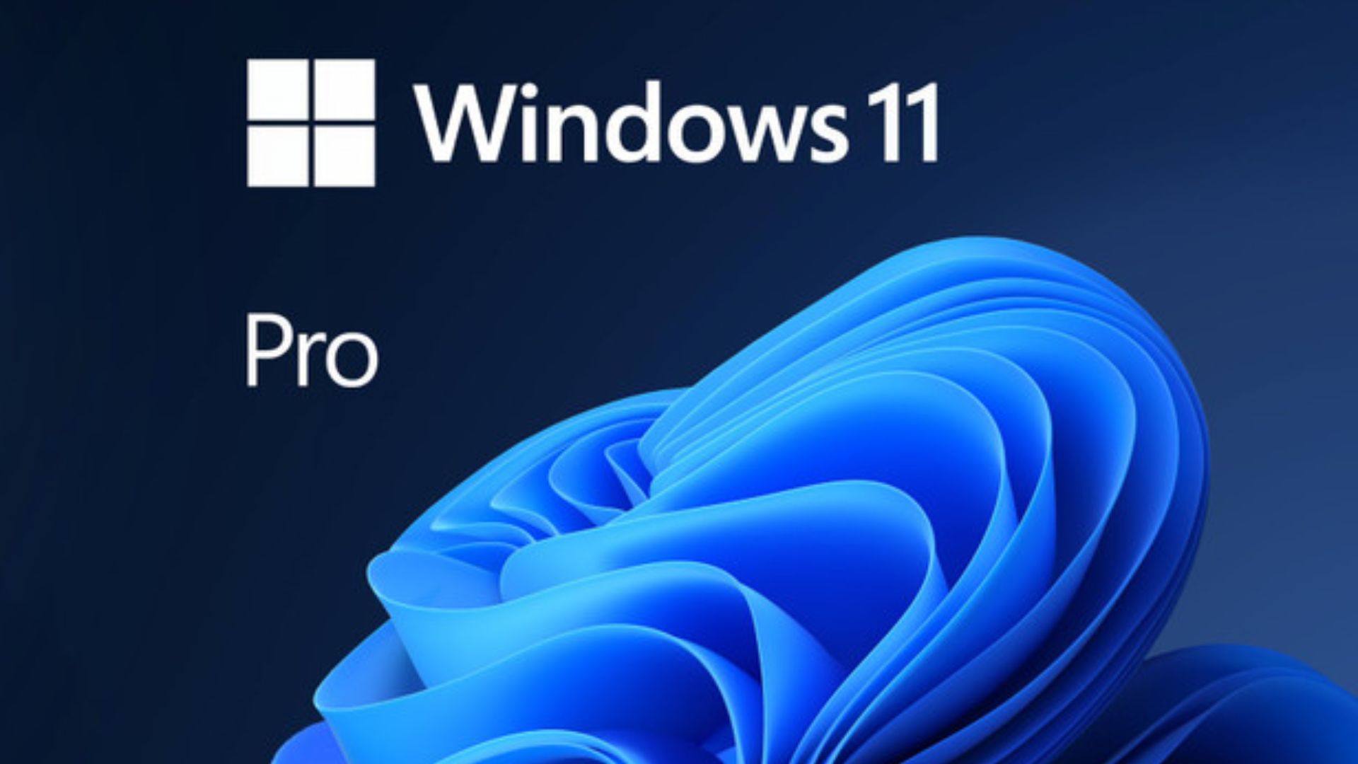 Windows 1 pro